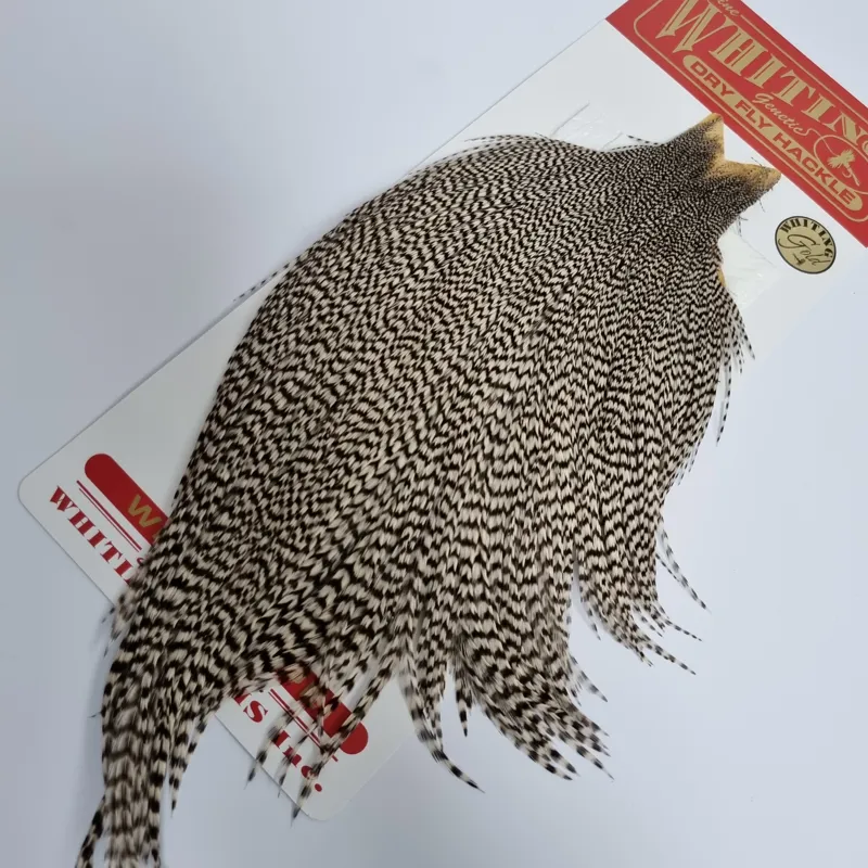 Whiting ハックル Gold Rooster Cape Grizzly Whiting Gold Grade Rooster Cape in Grizzly A